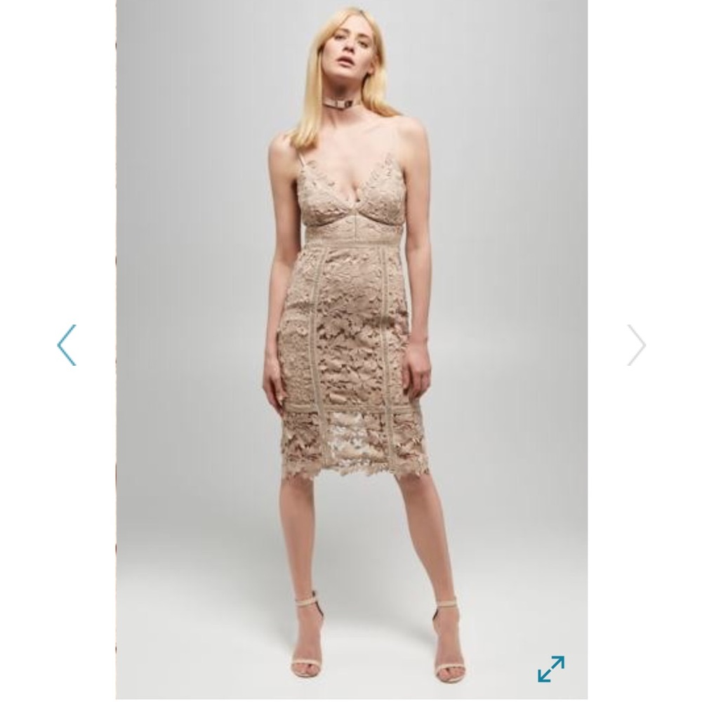 Bardot botanica lace dress